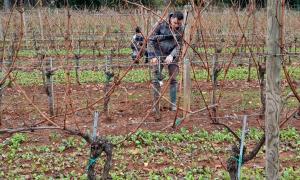 poljoprivredni_odjel_porec7