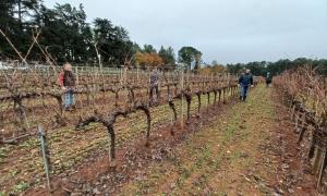 poljoprivredni_odjel_porec5